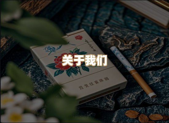 关于逸客网